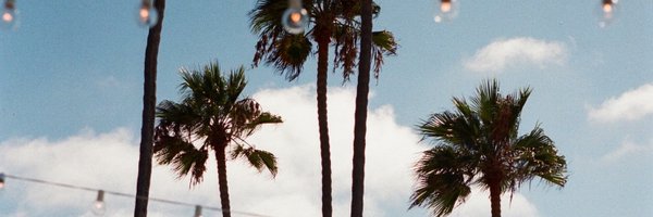 JulieAnMD Profile Banner