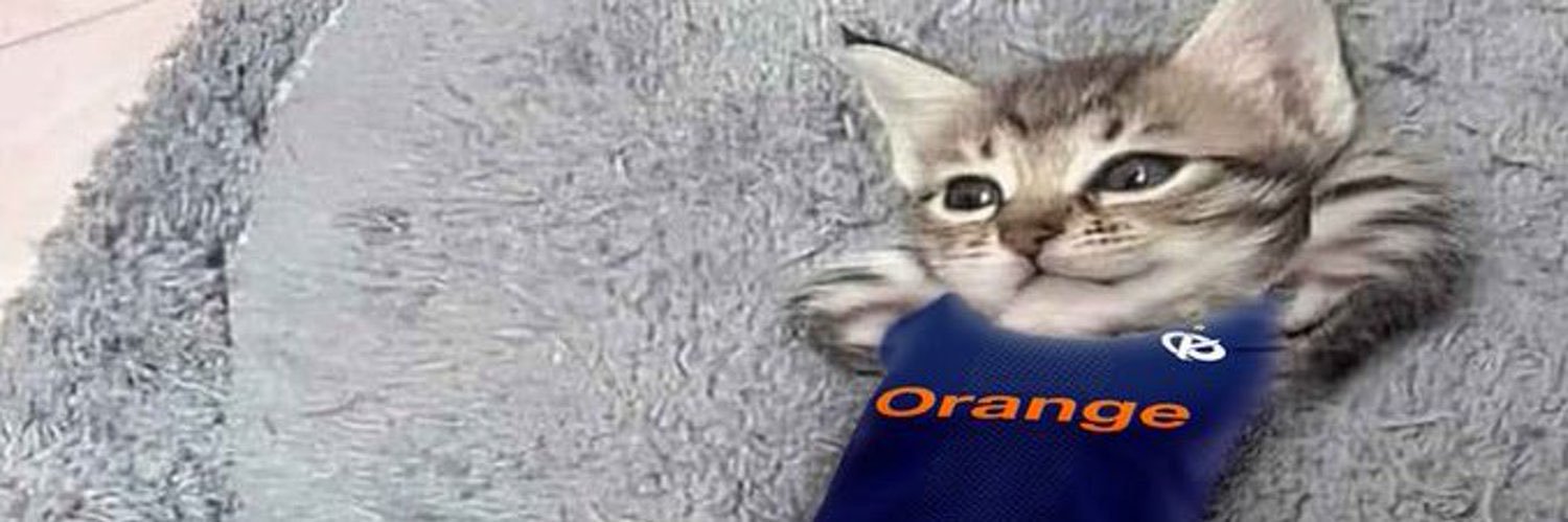 _meyrose__'s profile banner image