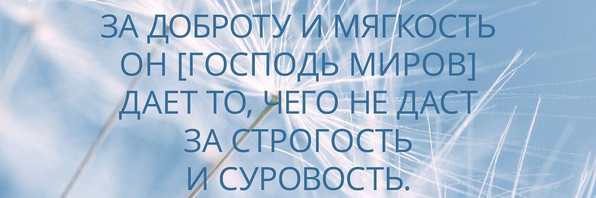 TJanarbek's profile banner image