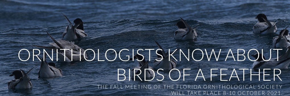 FOSBirds's profile banner image