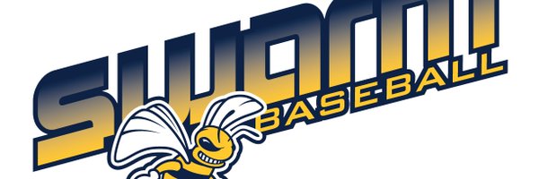 AZ Swarm Baseball Profile Banner