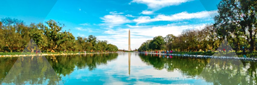 Quinn Scanlan banner