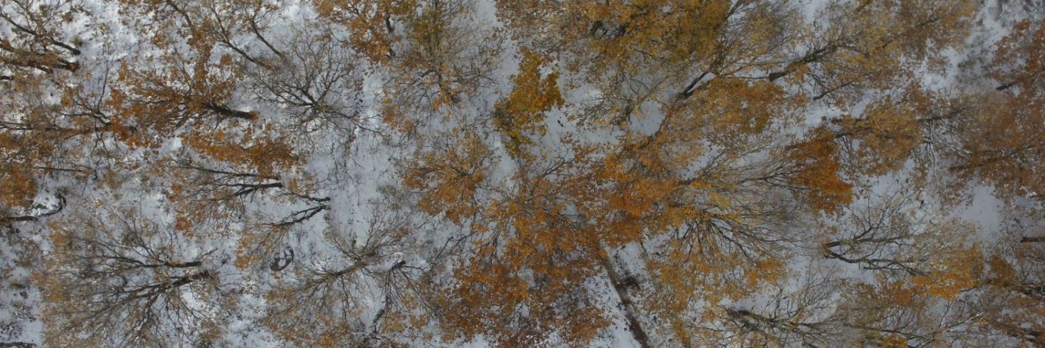 FGhinami's profile banner image