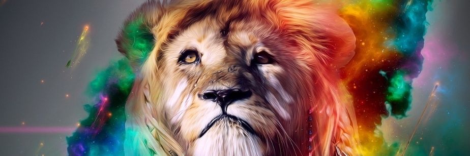 Miguel Campoy banner