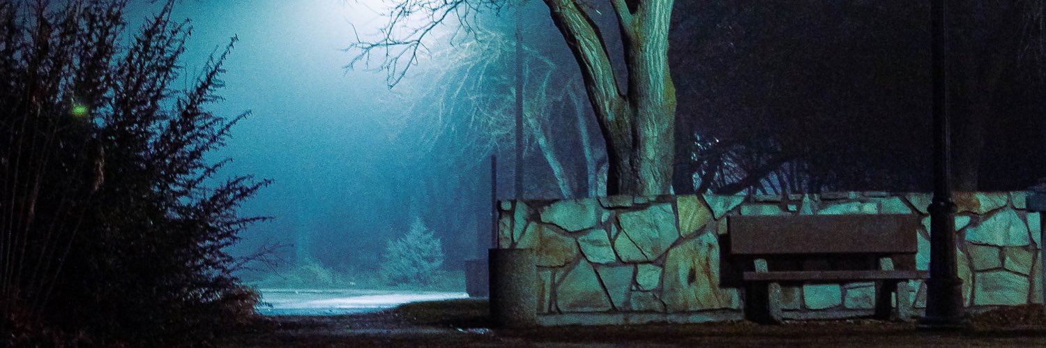 aracelitaranto's profile banner image