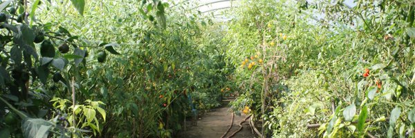 ChilliFowler Profile Banner