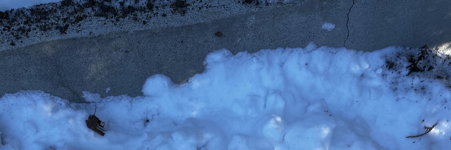 Cowboy Stillness banner