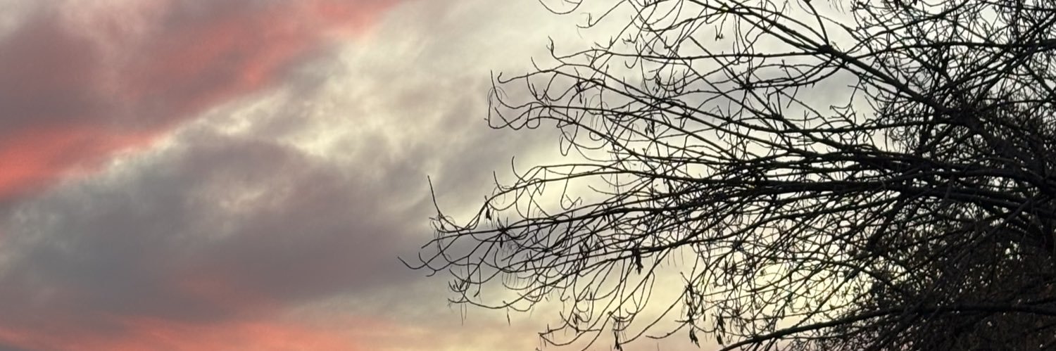 meeyrem's profile banner image