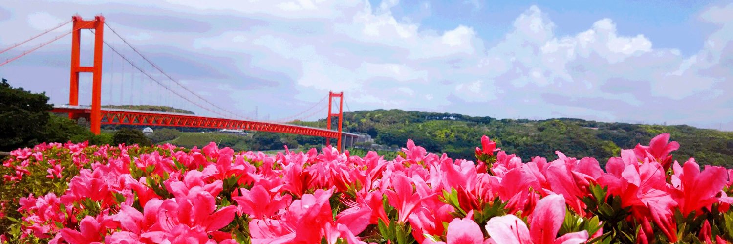 庵 banner