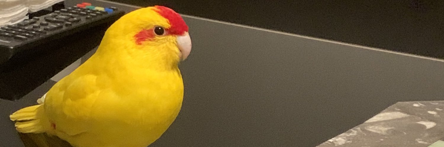 miloud60's profile banner image
