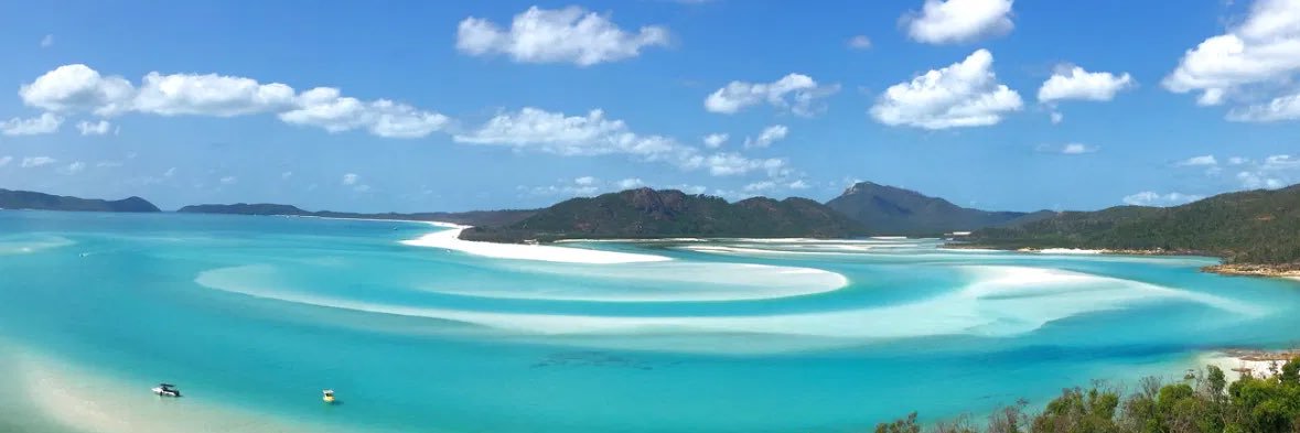 Alex Twitchett banner