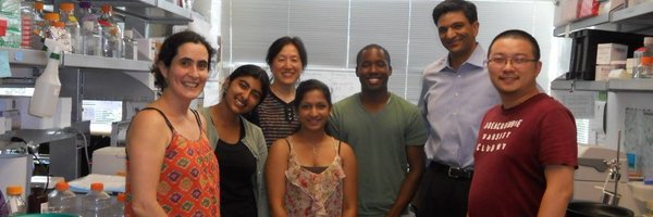 BhallaResearch Profile Banner