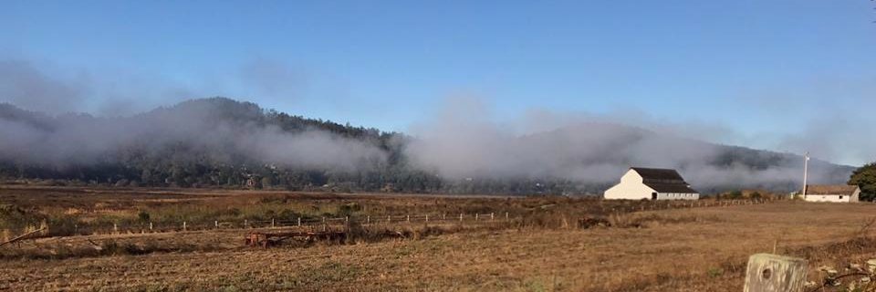 Point Reyes Books banner