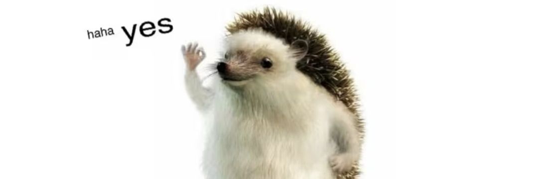 백곰 banner
