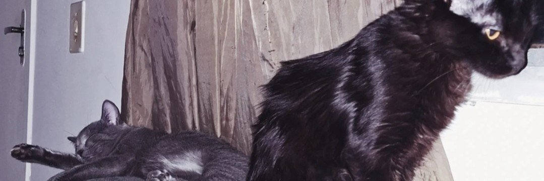 luliszl's profile banner image