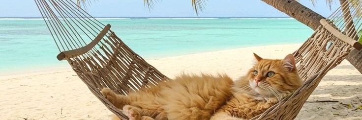 yenaaa🌷 banner