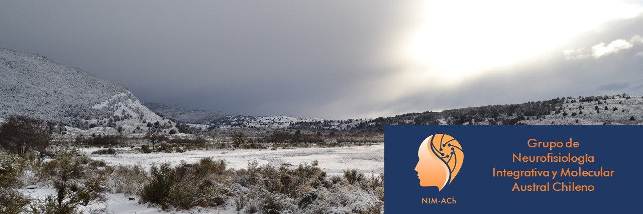 c_nues's profile banner image