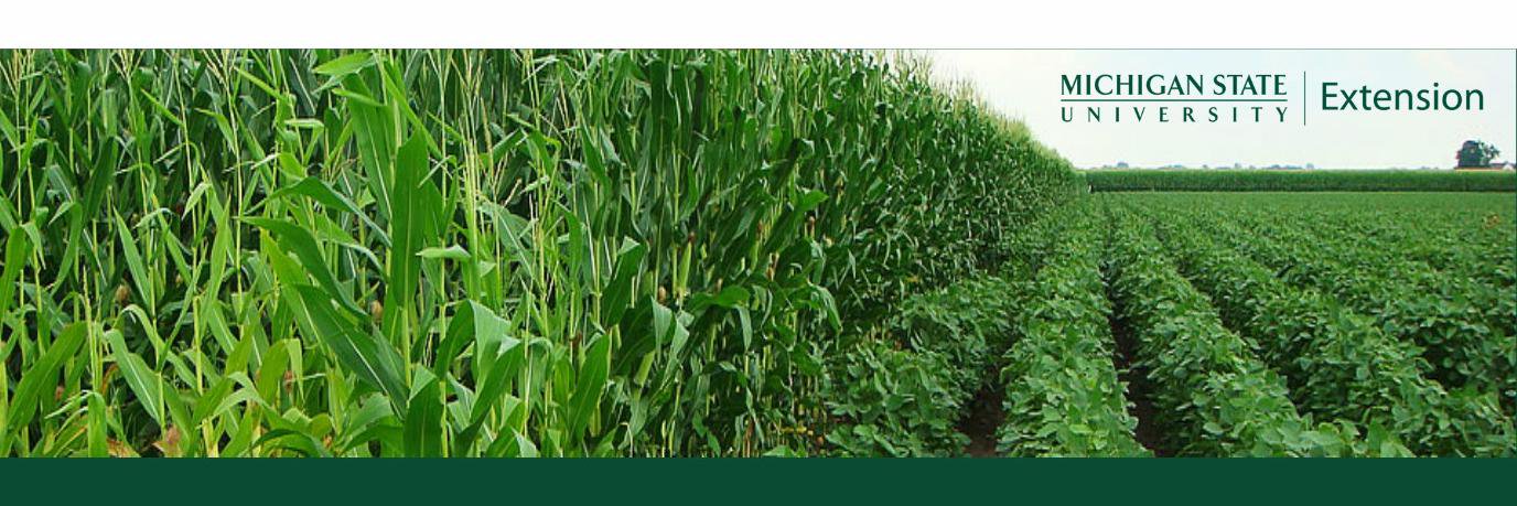 MSU Extension Field Crops banner