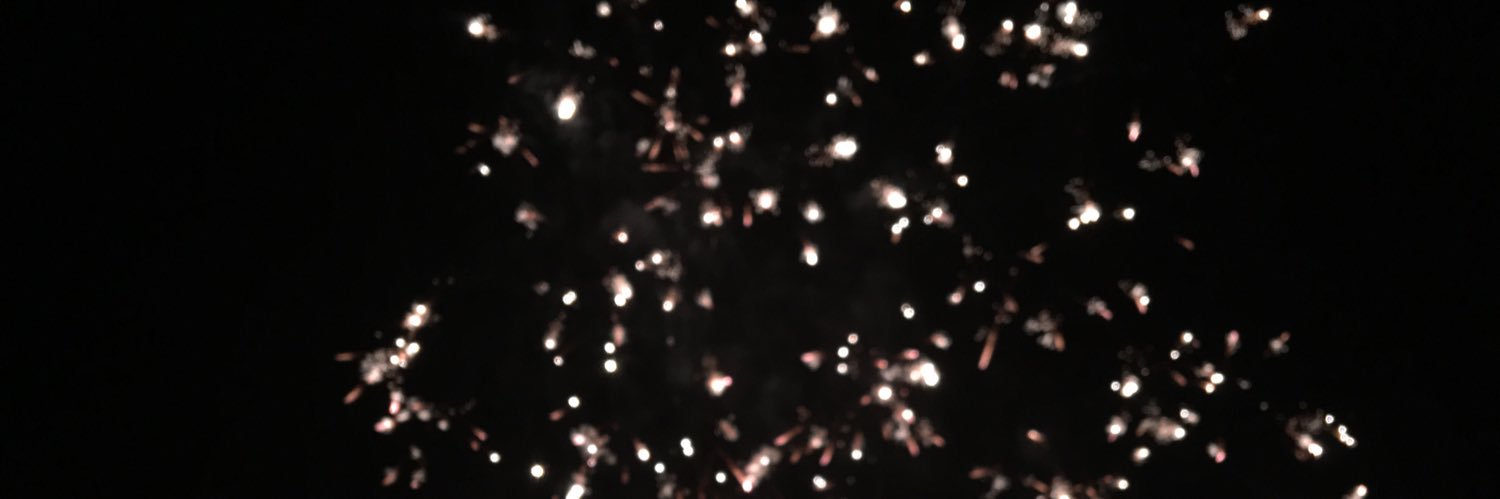 catapatalata's profile banner image