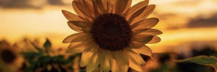 juliette_mlcd's profile banner image