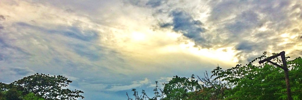 Michellefcs17's profile banner image