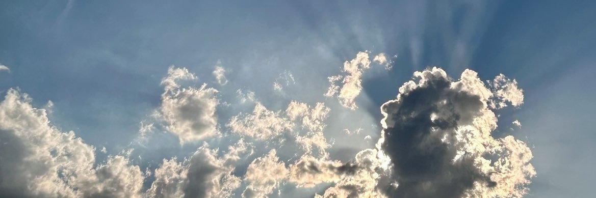 sariigee's profile banner image