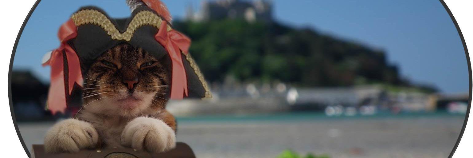 catostropic's profile banner image