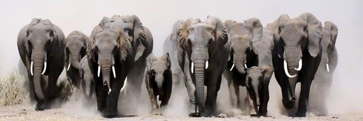 साथ ‏आप का 🇮🇳 banner