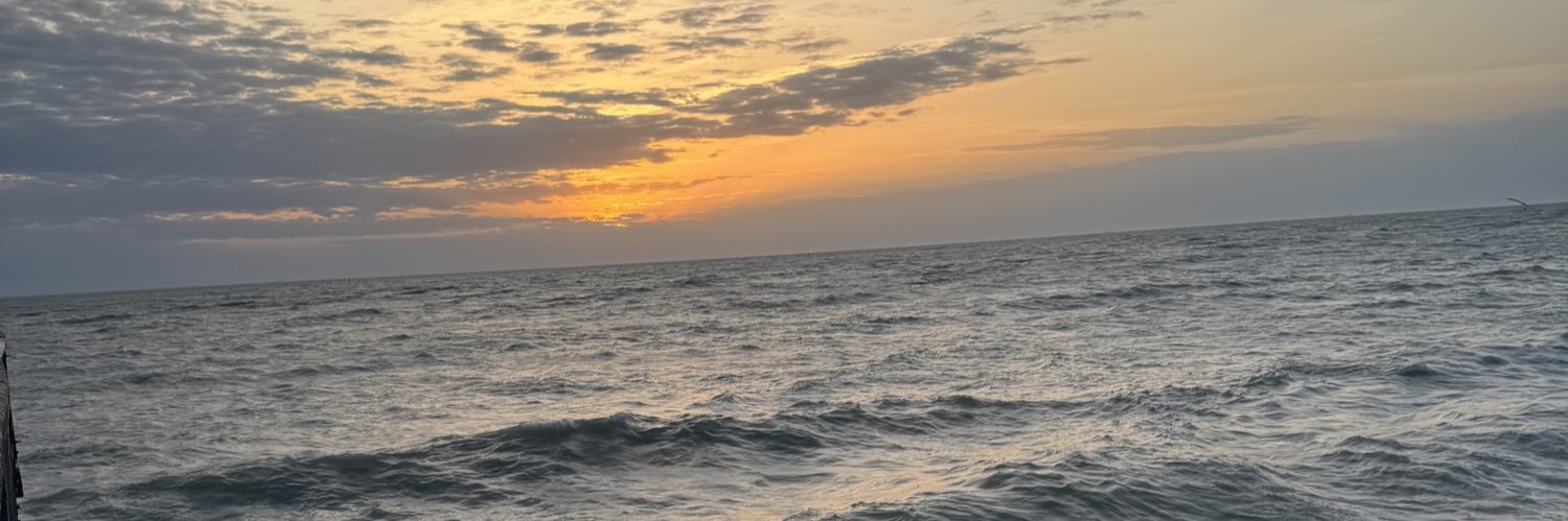 elspjs's profile banner image
