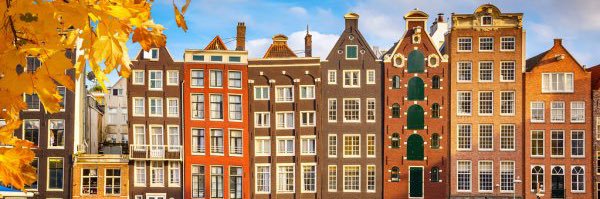 Dr. Madalina Busuioc @mbusuioc.bsky.social banner