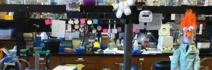 Dr. Heather Babka banner