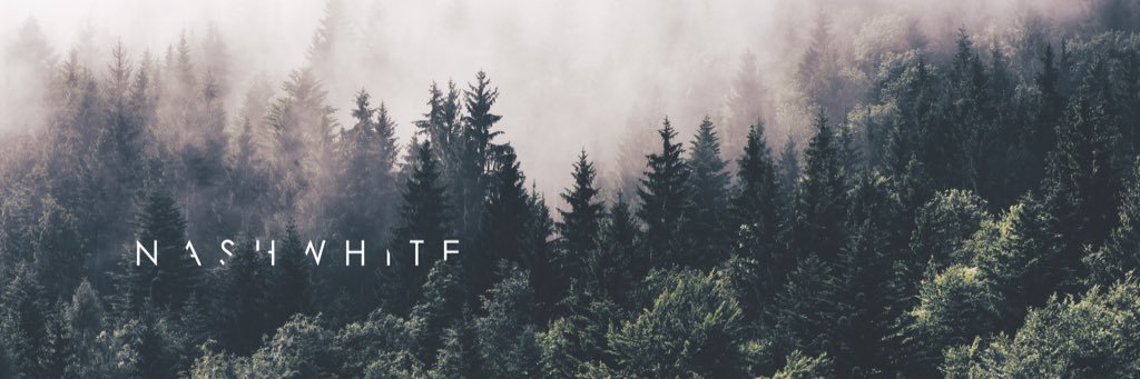 Nashwhite® banner