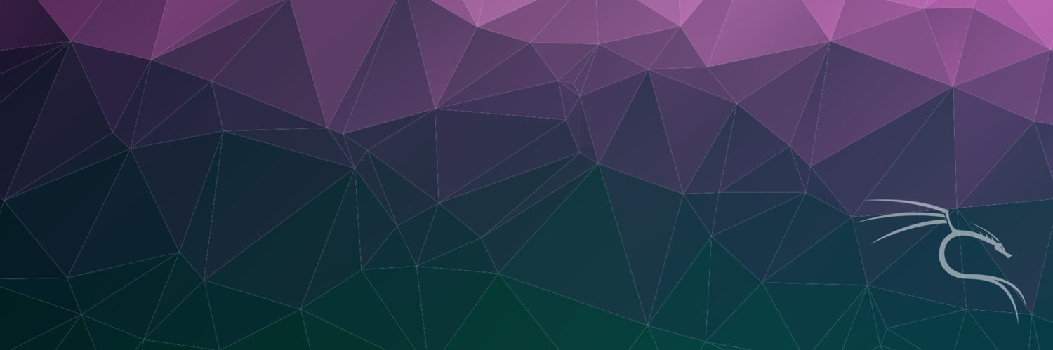 skytroopa's profile banner image