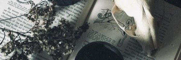 BoiFanon Profile Banner