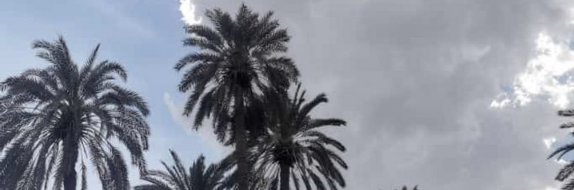 aburasile's profile banner image