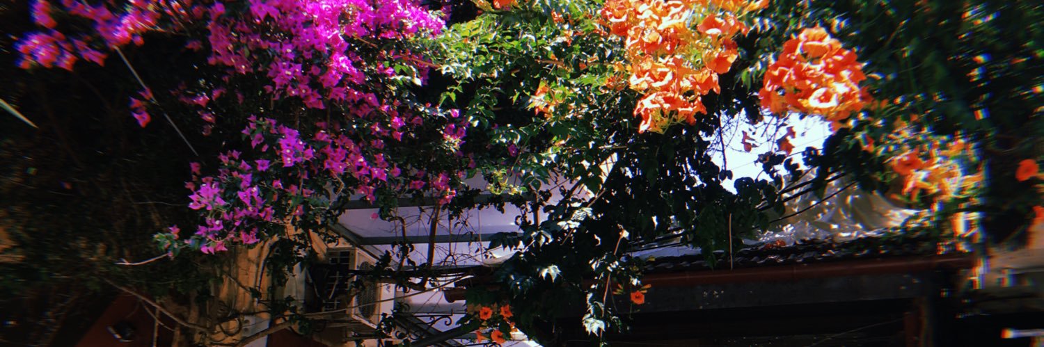 l2i4s2aa's profile banner image