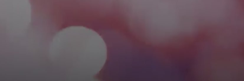 sidneybailey8's profile banner image