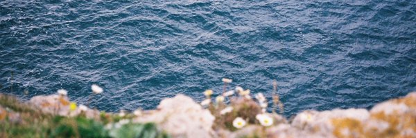 AnaLunaMartin Profile Banner