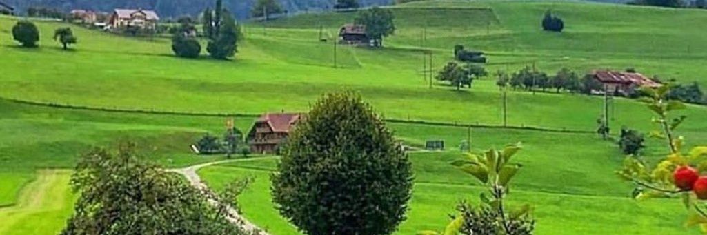 Gérald Seapaki 🇧🇪🇨🇭🇫🇷🎗 banner