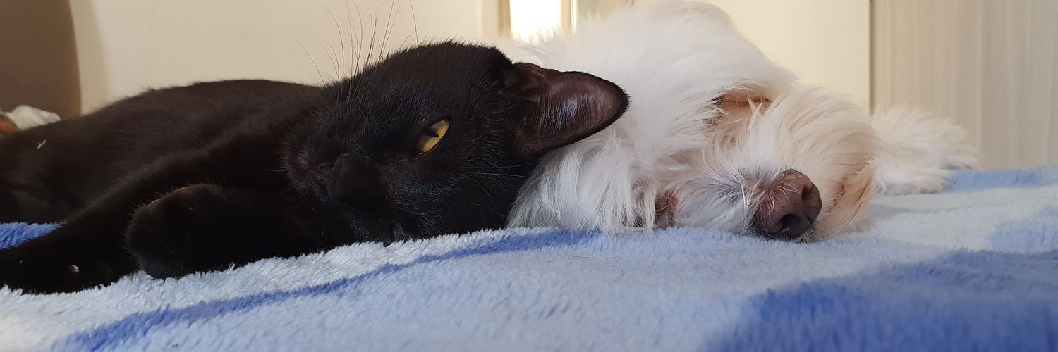 julioms83's profile banner image