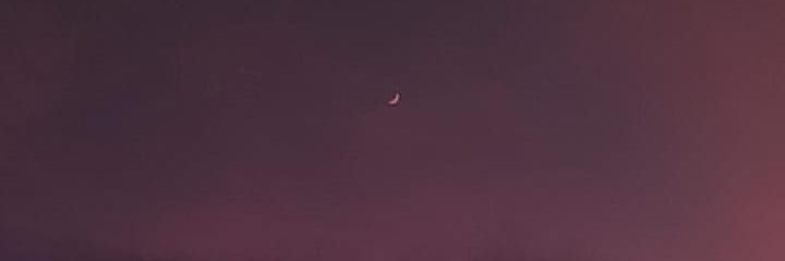 fernicolis's profile banner image