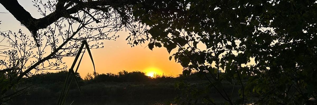FidelMedinaaa's profile banner image