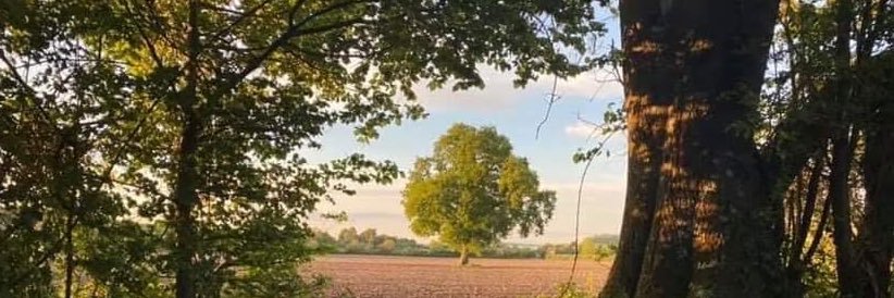 Leander Morales banner