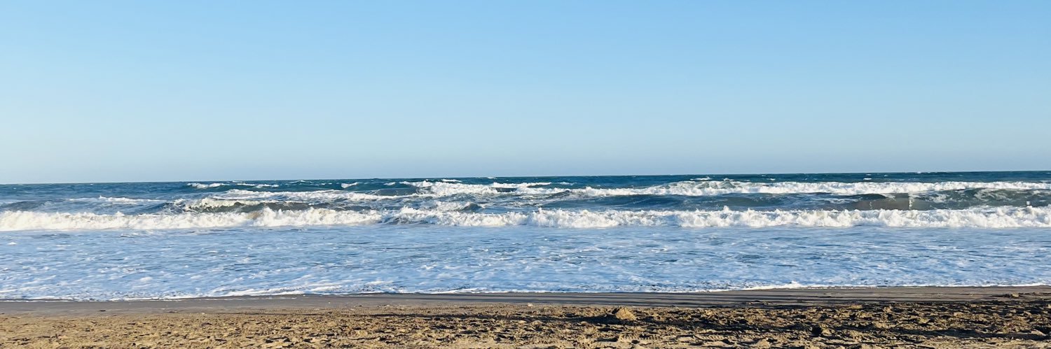 TriniStolle's profile banner image