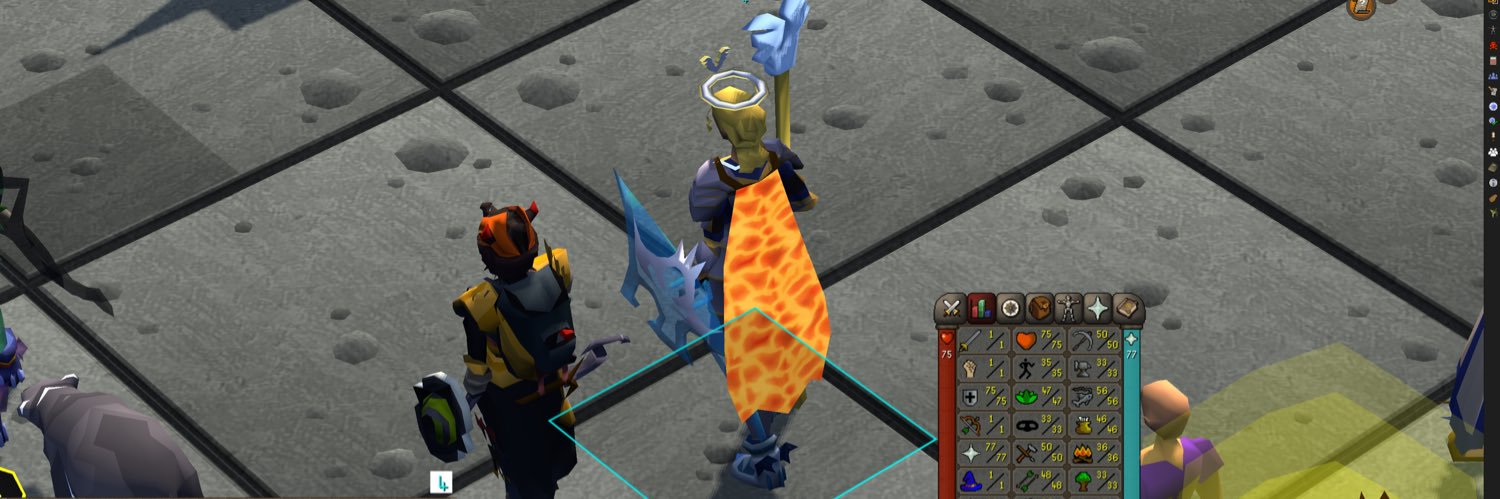 Noble banner