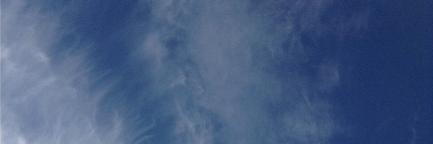 noririe's profile banner image