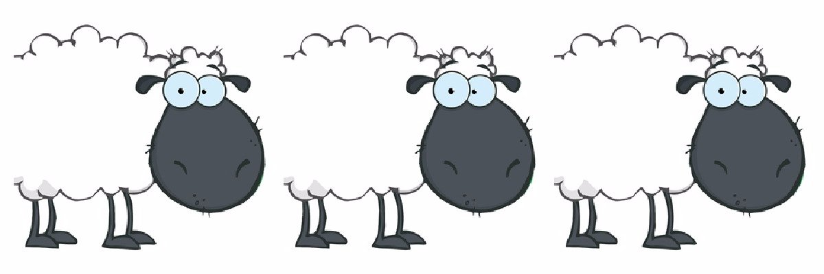 BlackSheepsView's profile banner image