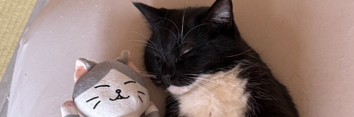 McatSavage's profile banner image