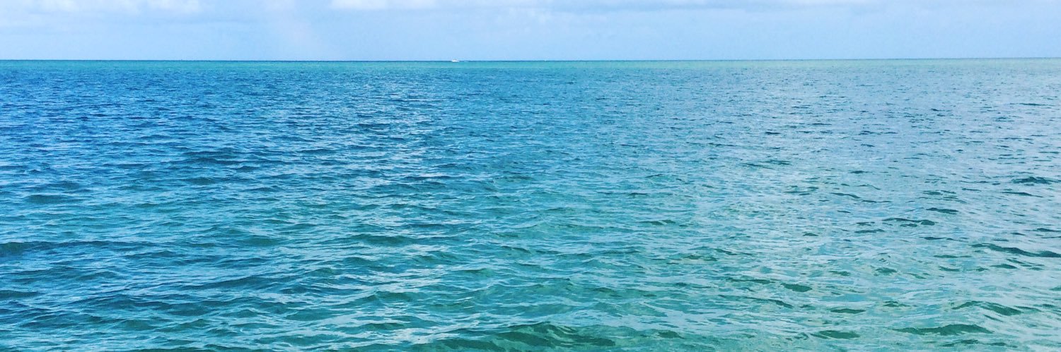 Lauryn Fiechtner banner