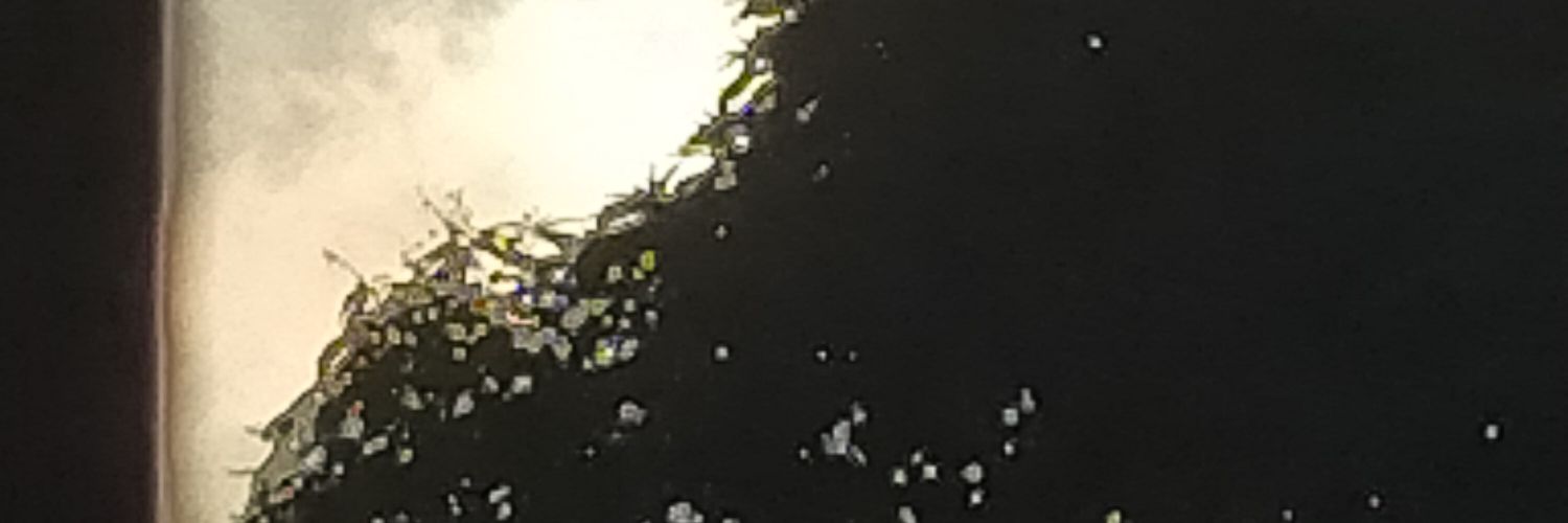 a r o n banner